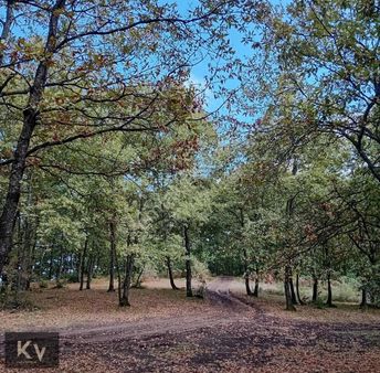 Kv Gayrimenkul'den Orman Ve Doğa İçinde Satılık Tarla