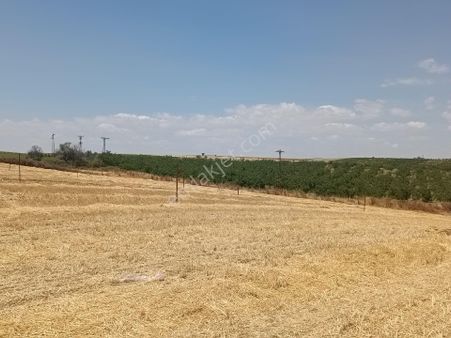 Tekirdağ Marmara Ereğlisi Çeşmeli Her Bütçeye Uygun Yerlerimiz Mevcut