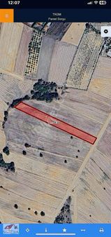 Saadet Emlak Arsa Ofisinden Kavacık'da Satılık 7.050.89 M2 Tarla