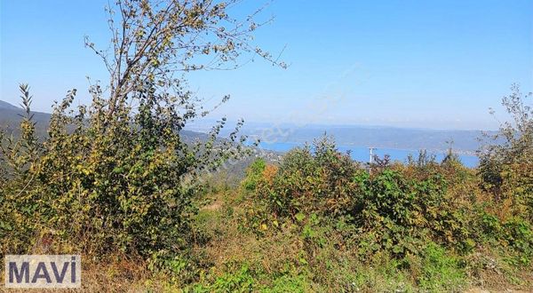 Sapanca Balkayada Göl Manzaralı İmarlı Arazi