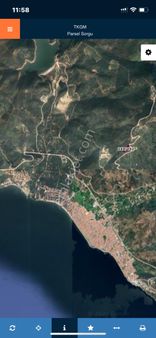 Antant Emlaktan Körfez Manzaralı Zeytinlik