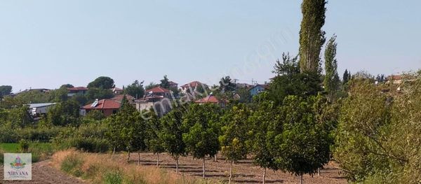 Kocabaş'ta Evlerin Yanında İmara Sınır Ceviz Bahçesi, Arsa Adayı