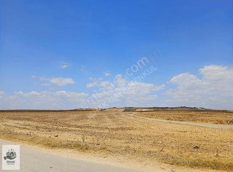 Tekirdağ Marmaraereğlisi Ana Yola Ve Denize Yakın Uyguna Hisse