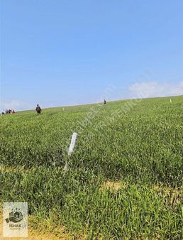 Tekirdağ Marmaraereğlisi Çevrili,konteynır Koyulur,hobi Bahçesi
