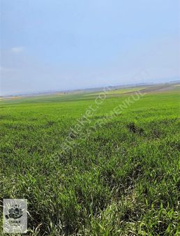 Tekirdağ Marmaraereğlisi 274,25 Yerleşime Yakın Uygun Fiyatlı