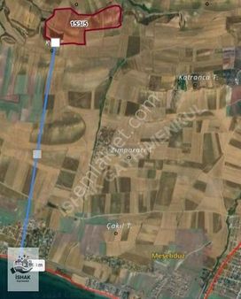 Tekirdağ Marmaraereğlisi 153,5 Satılık Tarladan Hisse