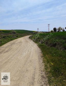 Tekirdağ Marmaraereğlisi Çeşmelide 257,1 Tarladan Satılık Hisse