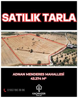 Adnan Menderes Mahallesinde 43274 M2 Tarla Satılıktır