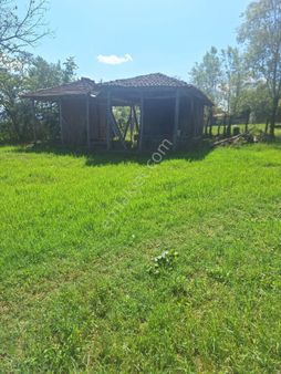 Samsun Terme Akçagün’de 4.160 M² Arazi İçinde Satılık Tek Katlı Ev