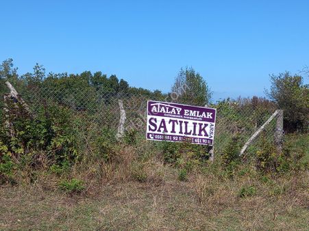 Sinop Dibekli Köyünde Atalay Emlak Tan Satılık Tarla