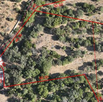 Bodrumda Yerım Olsun Dıyenlere Uygun Fıyatlı Zeytınlı Tarla