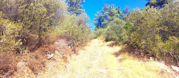 Torbalı Emlak'tan Yatırımlık Bayındır Arıkbaşı'nda 6300m2 Arazi Satılıktır