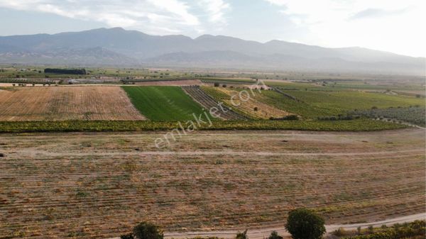 Salihli Durasallıda Satılık Tarla