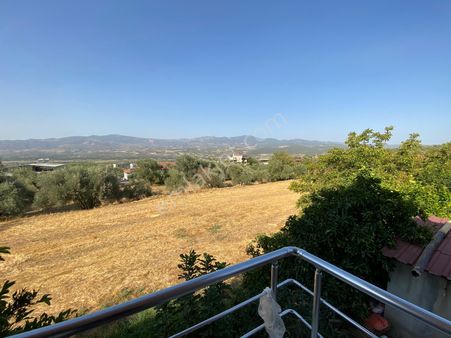 Aydın Bozdoğanda Hazır Kurulmuş Muazzam Satılık Çiftlik !!!!!!!!!!!