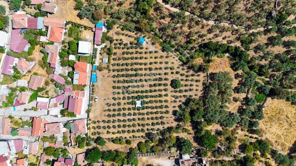 📍 Muğla Milas Pınarcık’ta 6.055 M² Ruhsatlı, Elektrik–su Aboneli Arazili Mülk