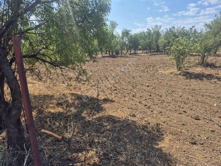 Beyşehir Satılık Arsa