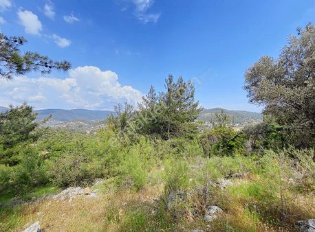 Bodrum Yalıçiftlik Yerleşime Yakın İmar Sınırında Hisseli Tarla