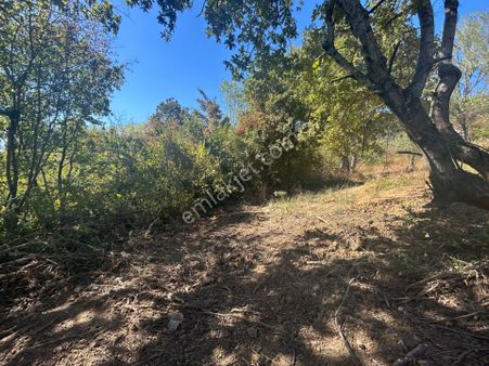 Uzmanlar’dan İnebeyli Mahallesi 728 M² %5 İmarlı Satılık Bahçe