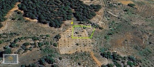 Lavinia'dan Dalaman Elcik Mahallesinde Satılık Tek Tapu Tarla