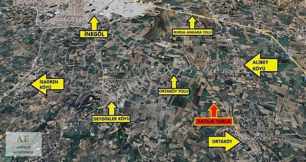 Aydınlık Emlak'tan Ortaköy'de Asfalta Yakın Fırsat Tarla