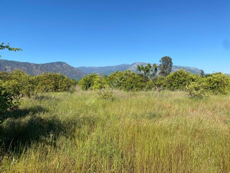 Eray Emlaktan Köyceğiz Zaferlerde 7000m2 Satılık Tarla