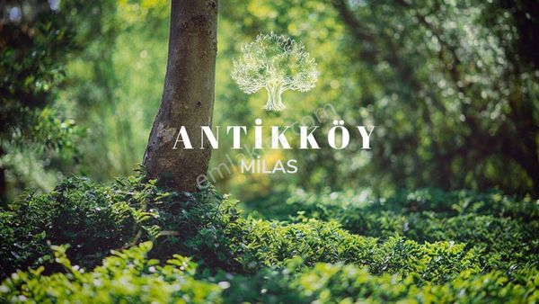 Ekoturizm İmarlı Milas Antikköy Projesine Geç Kalmayın