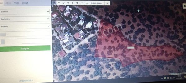 Balıkesir Burhaniye Pelitli "de İmar Sınırında Köy Kenarı Satılık 4.964m2 Zeytinlik