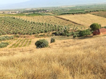 Manisa Salihli Hacıbektaş Satılık Arsa