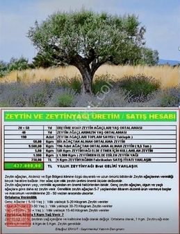Kuşadası'nda Yatırımlık Deniz Manzaralı 119 Zeytin Ağaçlı Arazi