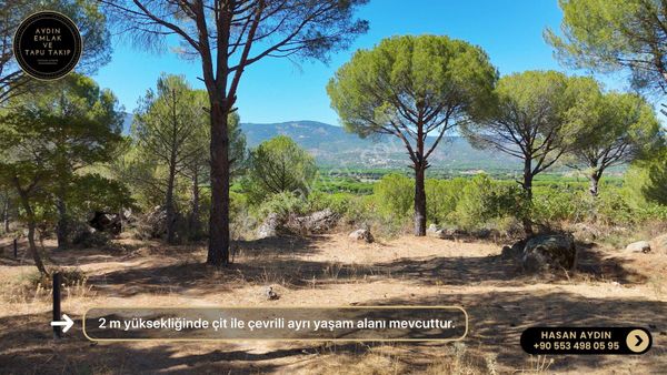 Aydın Emlak'tan Kozak Yaylasında Satılık Arazi