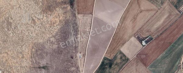 Konya Ilgın Büyükoba'da 300 Adet Badem Ağaçlı 10 Dönüm Bahçe