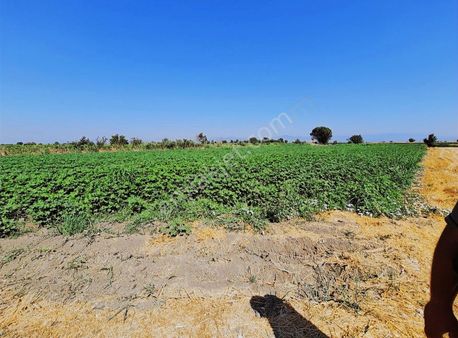 Yeni Köye 100 Metre Mesafede Satılık Tarla