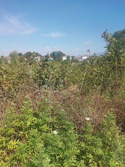 Sakarya Karapurcek Satilik Arsalar