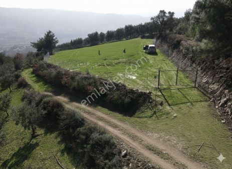 Yatırımlık Bahçe