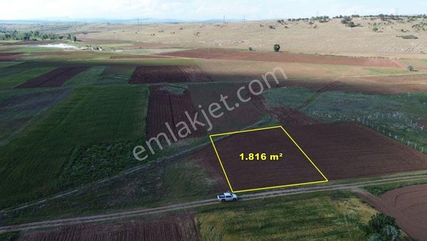 Akören Tülce De 1.816 M2 Müstakil Tapulu Tarla