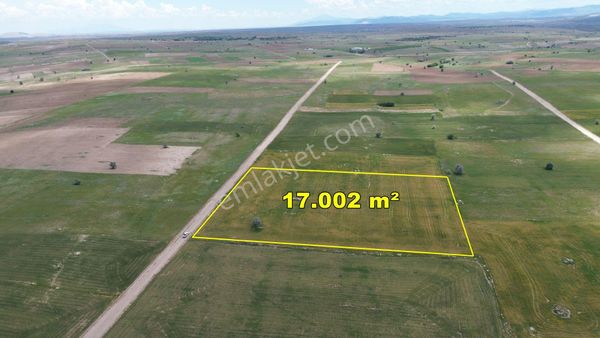 Akören Tülce De 17.002 M2 Müstakil Tapulu Tarla