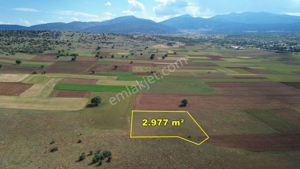 Akören Hacılar Da 2.977 M2 Müstakil Tapulu Tarla