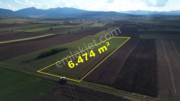Akören Hacılar Da 6.474 M2 Müstakil Tapulu Tarla