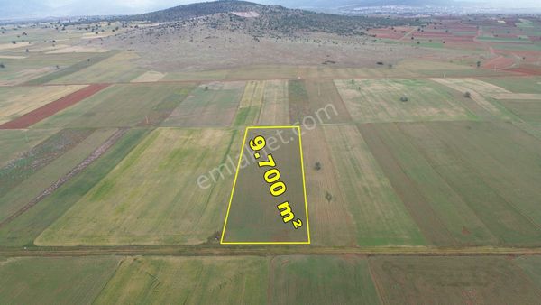 Akören Hacılar Da 9.700 M2 Müstakil Tapulu Tarla