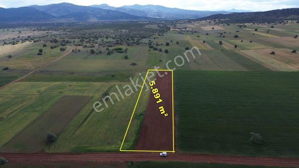 Akören Hacılar Da 5.891 M2 Müstakil Tapulu Tarla