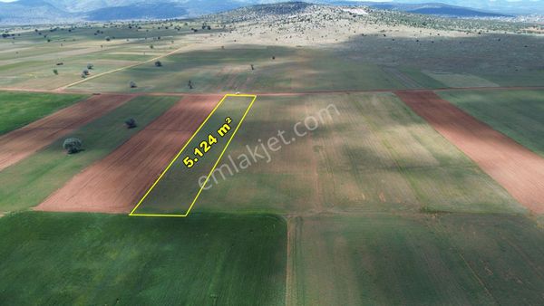 Akören Hacılar Da 5.124 M2 Müstakil Tapulu Tarla