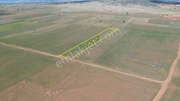 Akören Hacılar Da 5.479 M2 Müstakil Tapulu Tarla