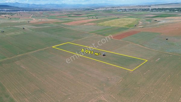 Akören Hacılar Da 8.091 M2 Müstakil Tapulu Tarla