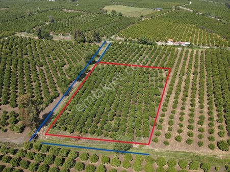 Eray Emlaktan Köyceğiz Zaferlerde 8150m2 Satılık Tarla