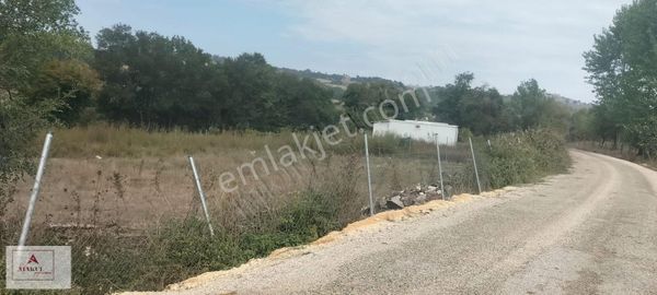 Atakul Gyo Dan Söğütalanda Yola Cephe Satılık Çiftlik Arazisi