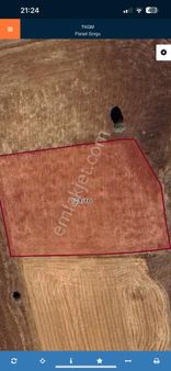 Asrın Emlak’tan Porsuk Köyünde Satılık 5.612 Mt Tek Tapu Tarla