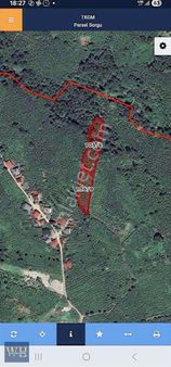 Yukarıardıç Köyünde Satılık 4.4 Dönümlük Fındık Bahçesi