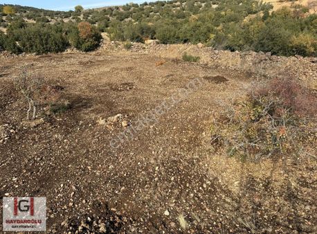 Yığınlı Da Yüksek Konumda Satılık Yatırıma Uygun Tarla.