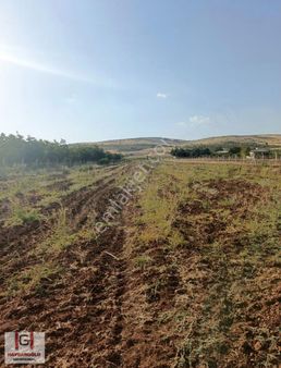 Sarıbaşakta Satılık Yatırımlık Tep Tapu Arazi.