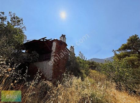 Yatağan Cazkırlar Mahallesinde Harabe Ev Ve Tarla